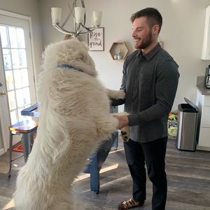 Meet your Posher, Nolan